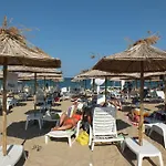 Al Rial * 슈코르필로브치